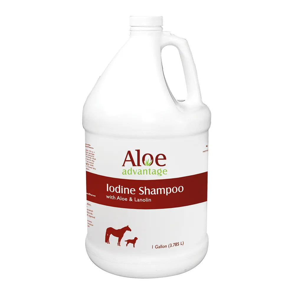 Aloe Advantage Iodine Shampoo with Aloe & Lanolin