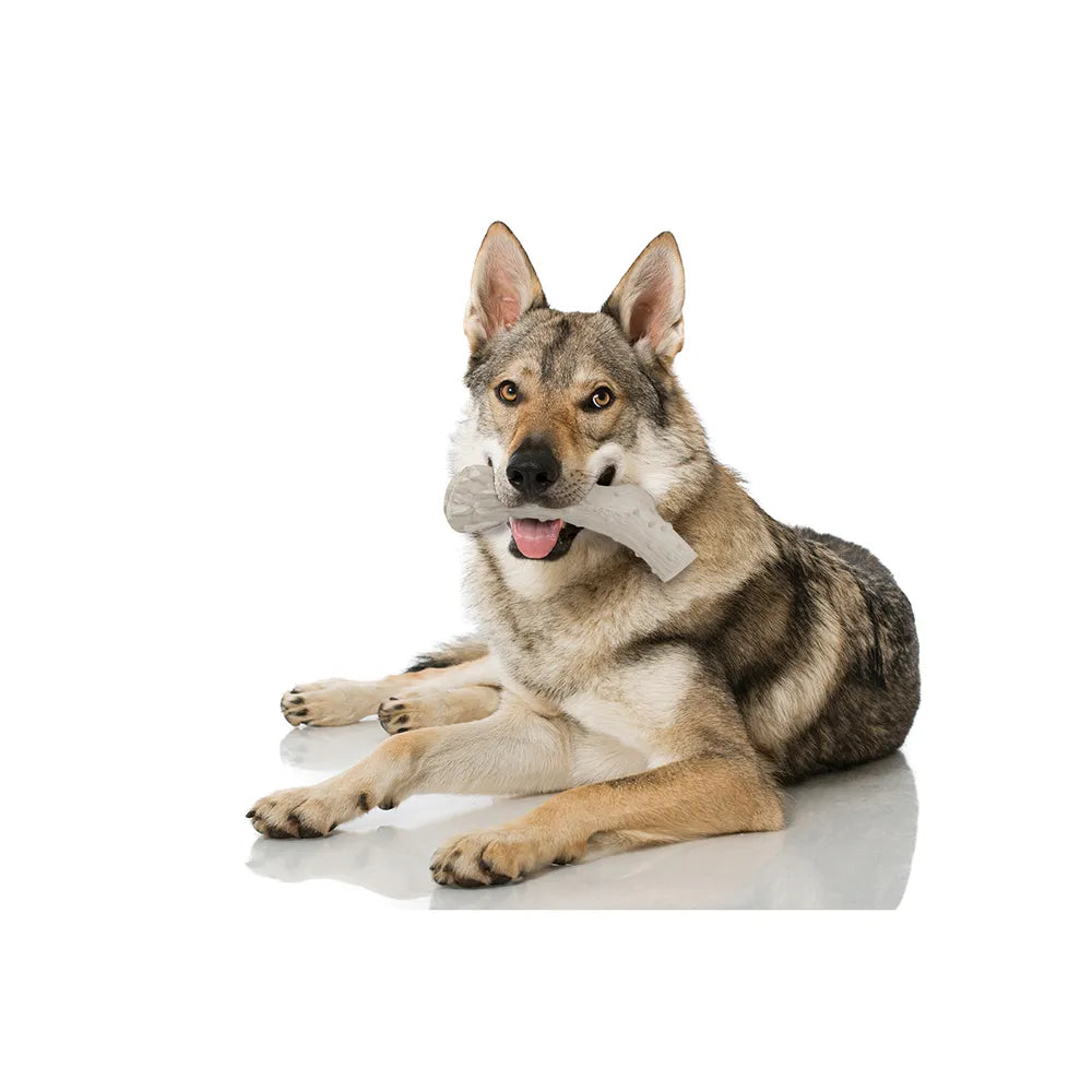 DuraChew Power Chew Antler Alternative