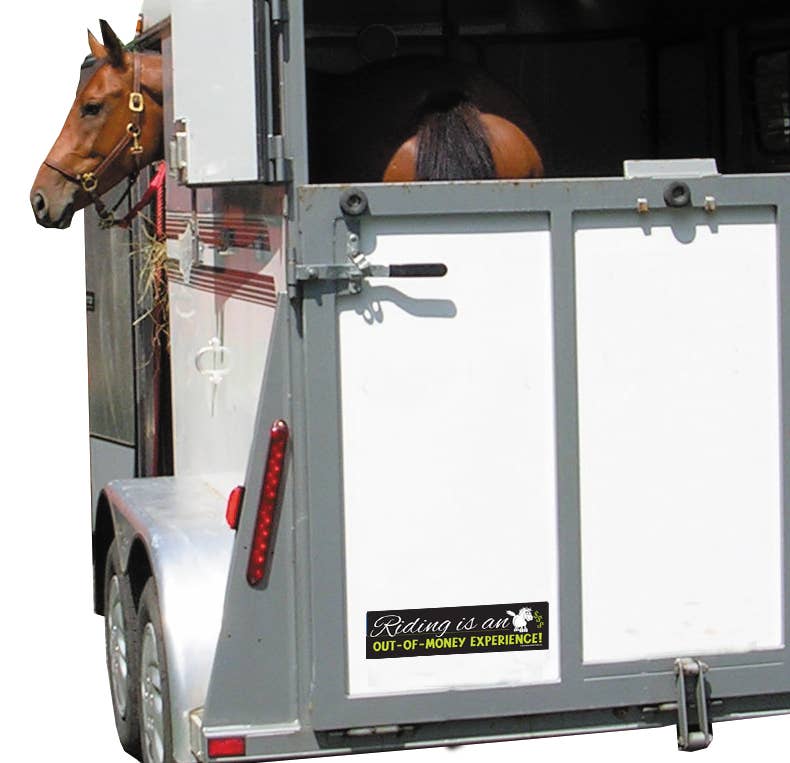 Horse Bumper Sticker / Riding is an Out-of-Money... / Funny