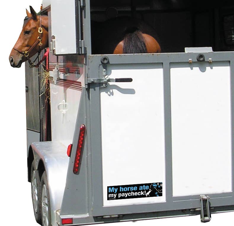 Horse Bumper Sticker / My Horse Ate My Paycheck! / Funny
