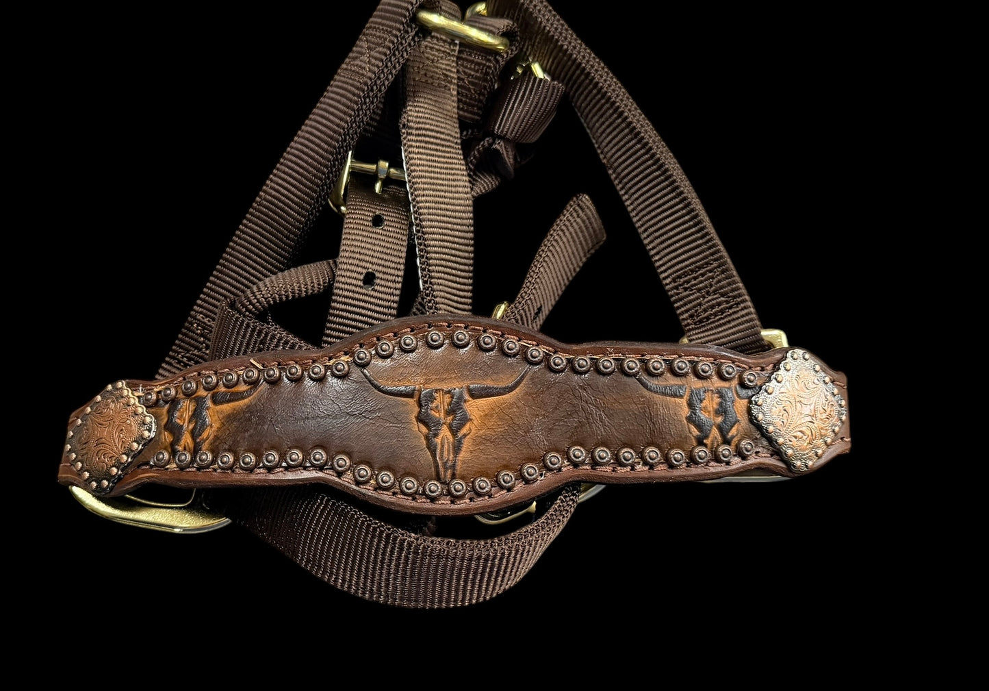 Brown longhorns on Walnut Leather