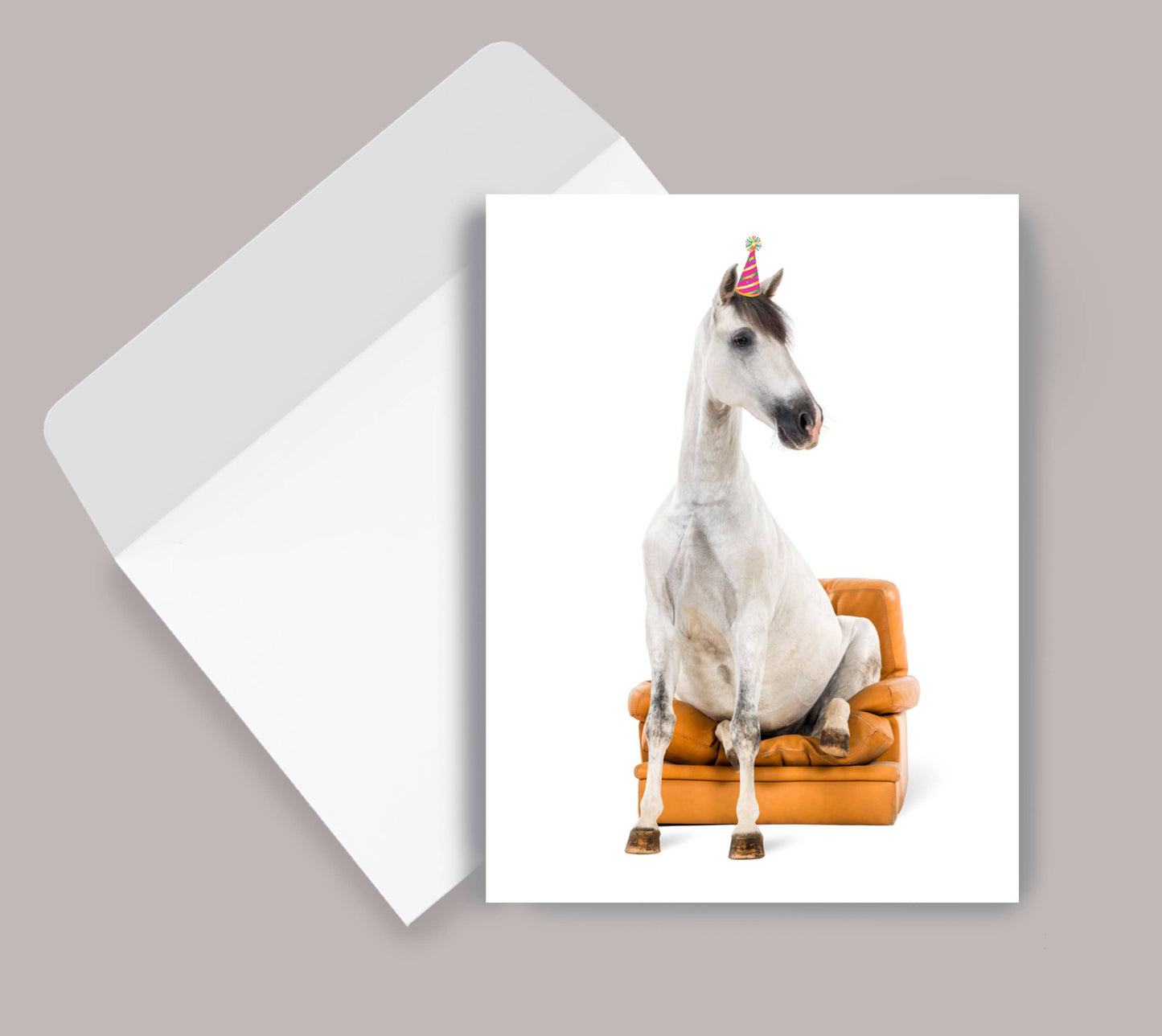 Horse Greeting Birthday Card / Horse Sitting in Chair / Fun