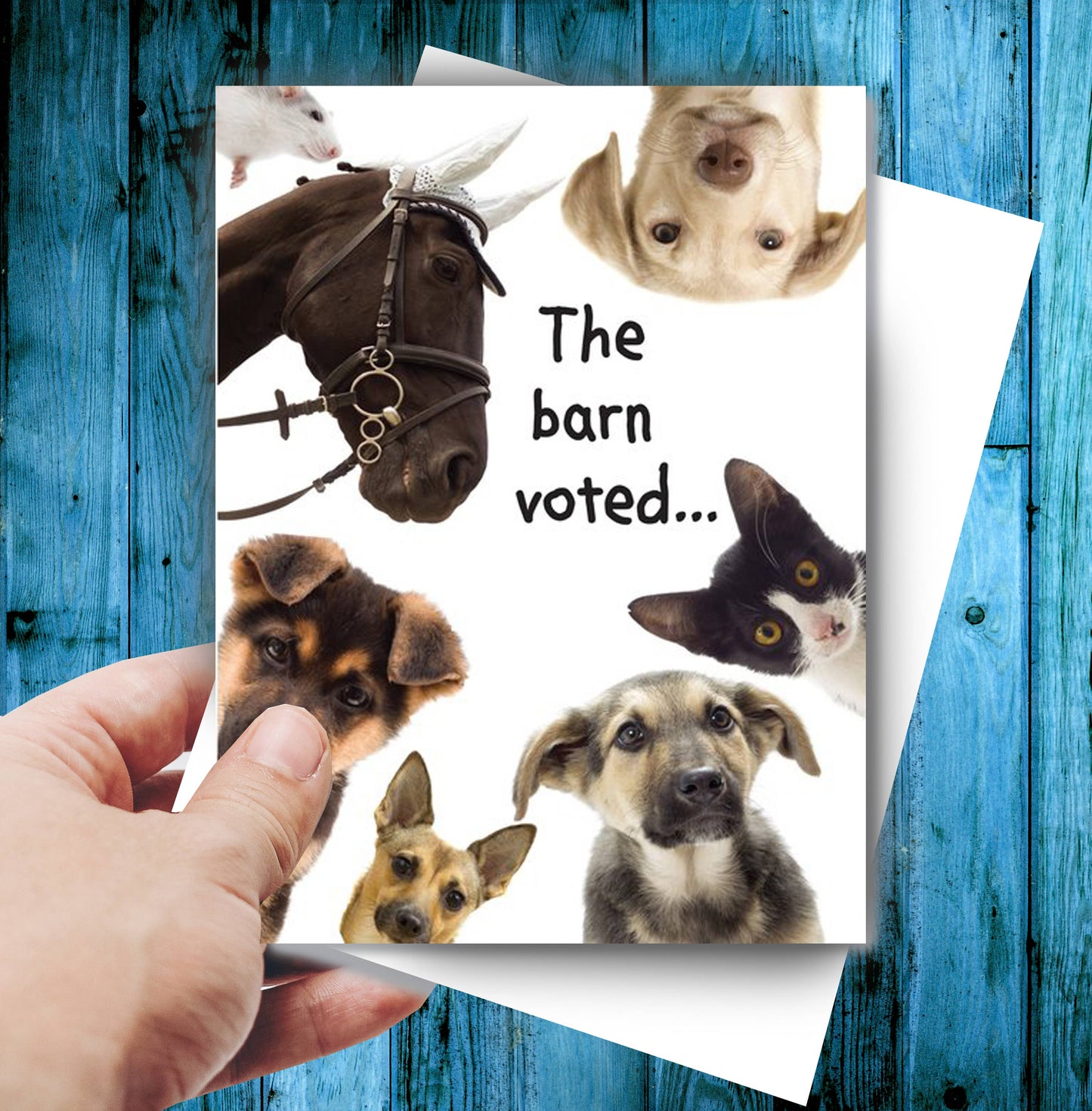 Horse Greeting Birthday Card / The Barn Voted / Funny