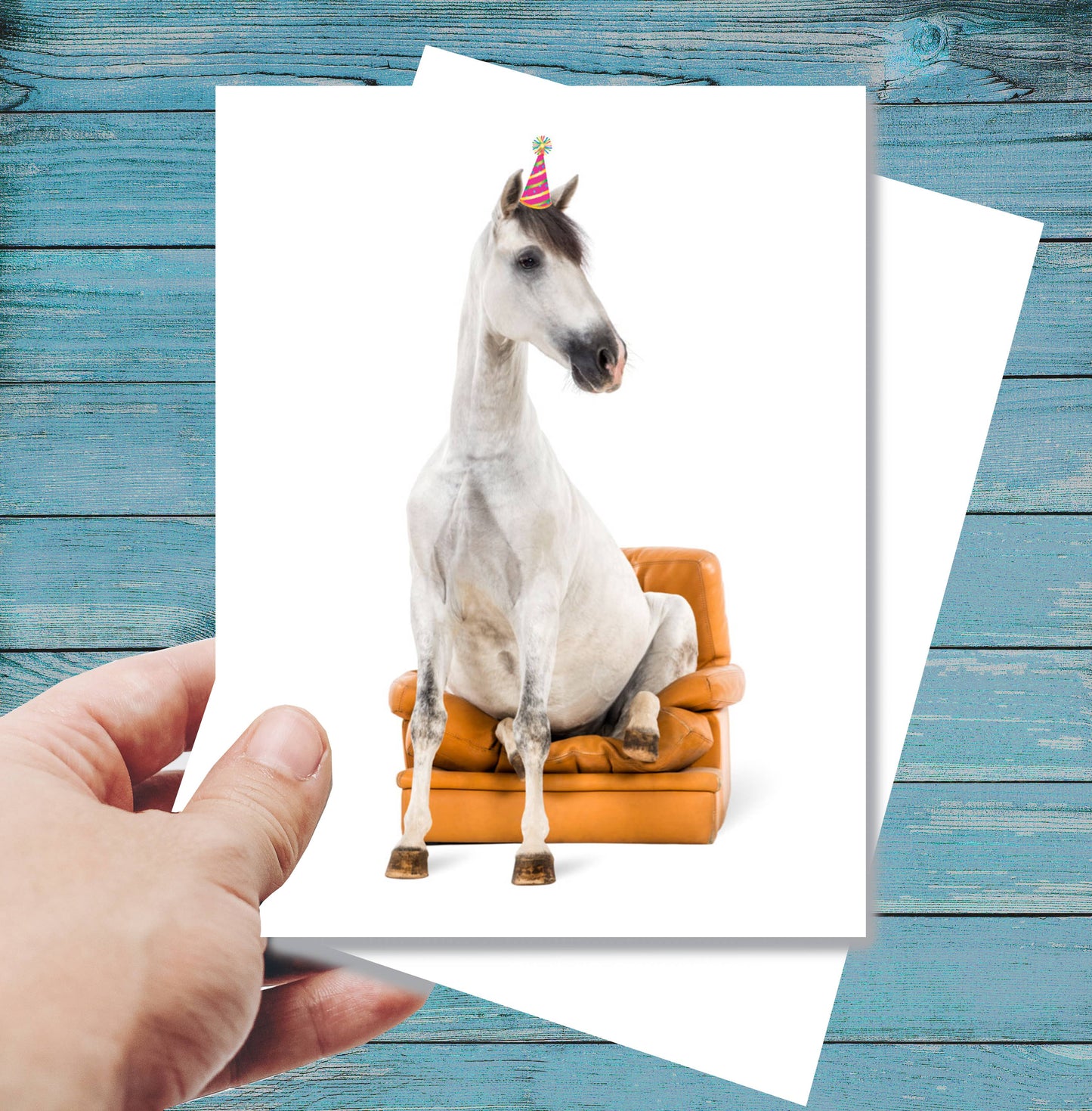 Horse Greeting Birthday Card / Horse Sitting in Chair / Fun
