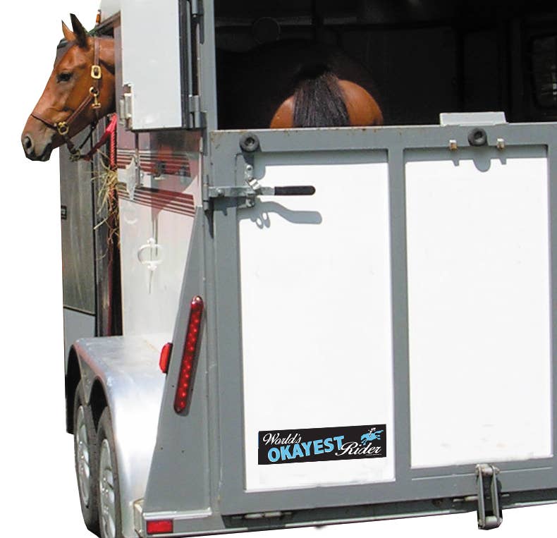 Horse Bumper Sticker / World's Okayest Rider! / Funny