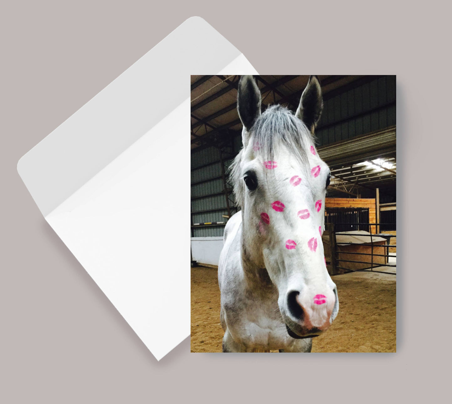 Horse Greeting Birthday Card / Kiss / Bestseller