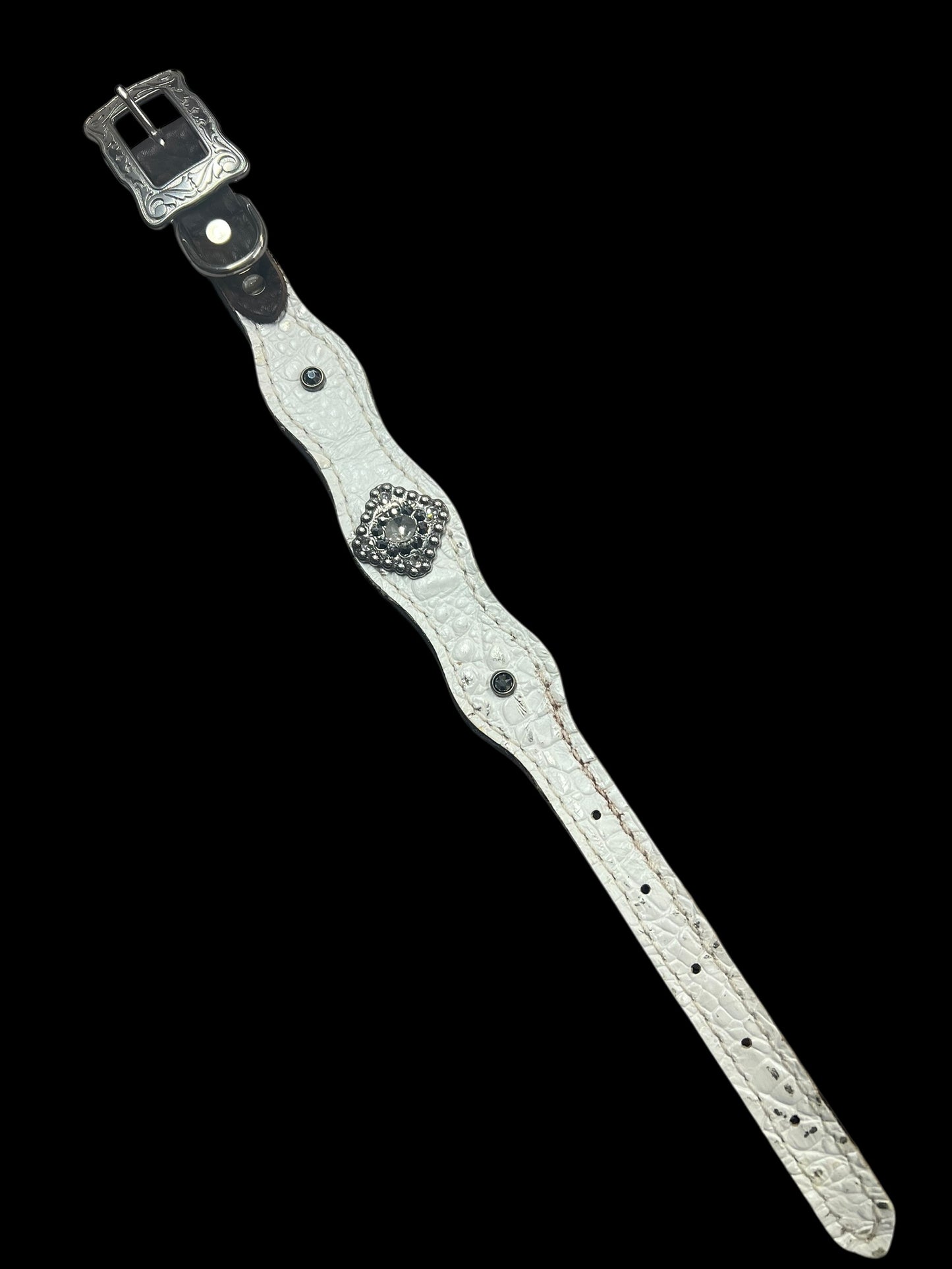 White with silver tips gator on dark leather