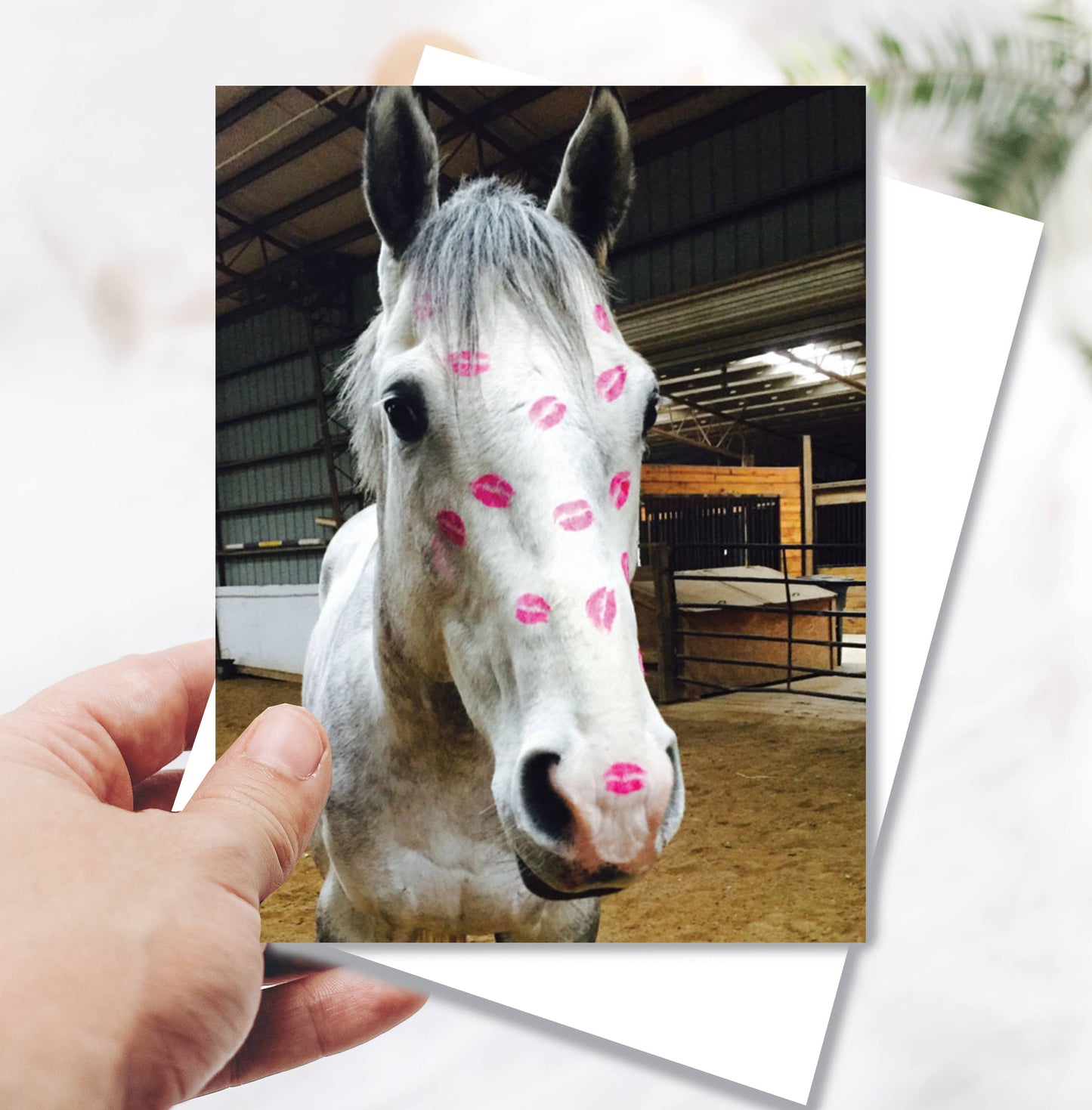 Horse Greeting Birthday Card / Kiss / Bestseller