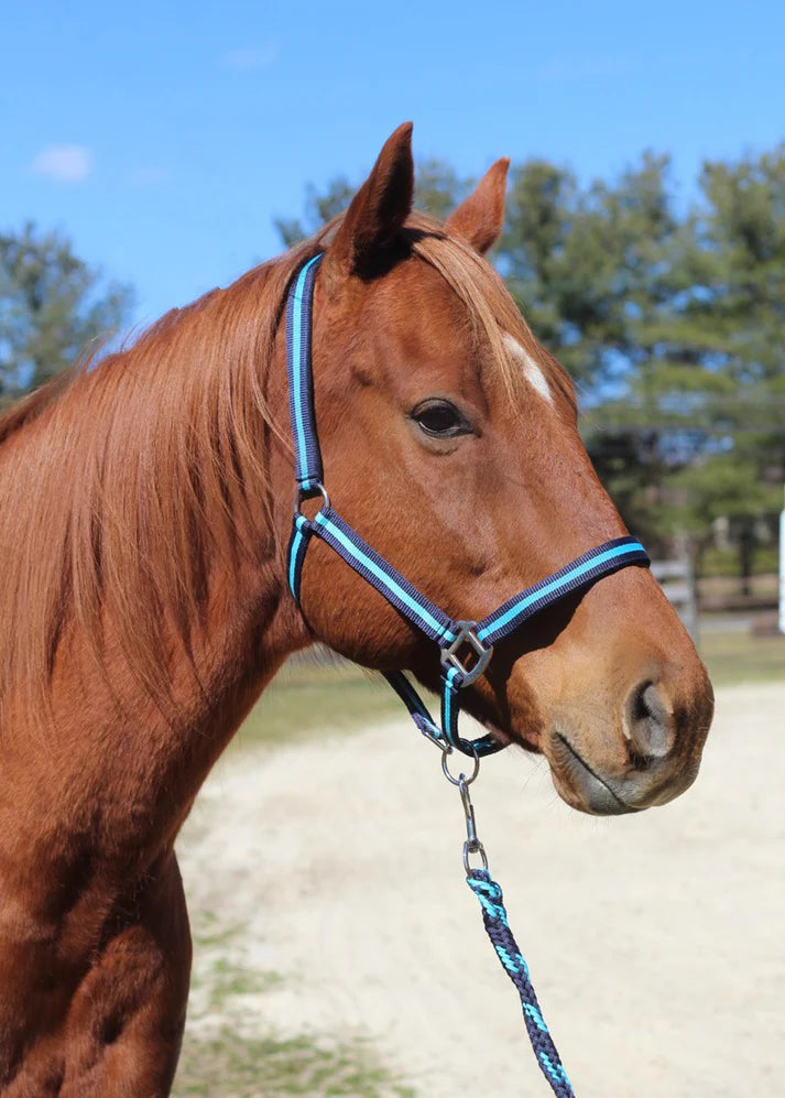 TuffRider Nylon Breakaway Halter & Lead Rope Set - Horse Size