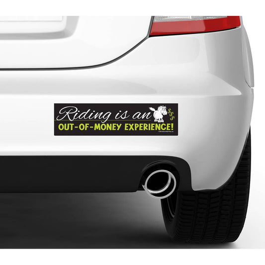 Horse Bumper Sticker / Riding is an Out-of-Money... / Funny
