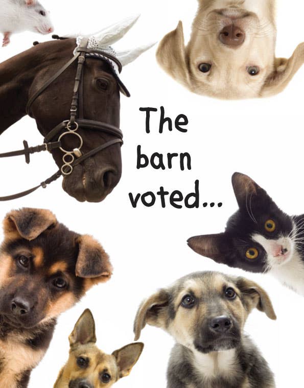 Horse Greeting Birthday Card / The Barn Voted / Funny