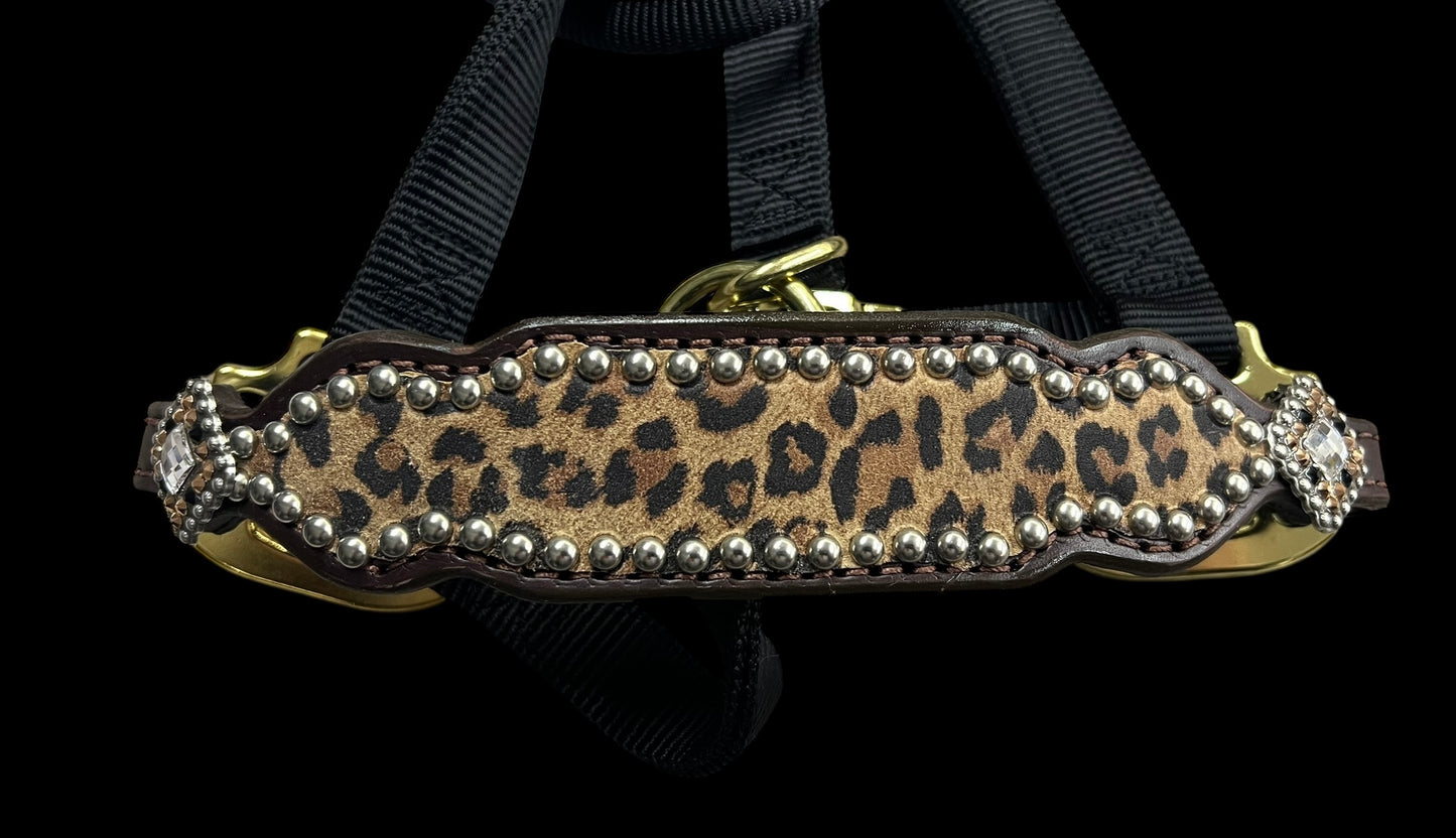 Leopard on dark leather