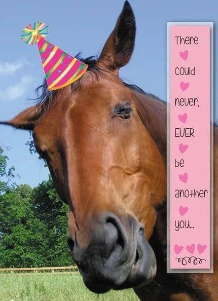 Horse Greeting Birthday Card / Never Be Another You