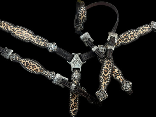 Leopard on dark leather