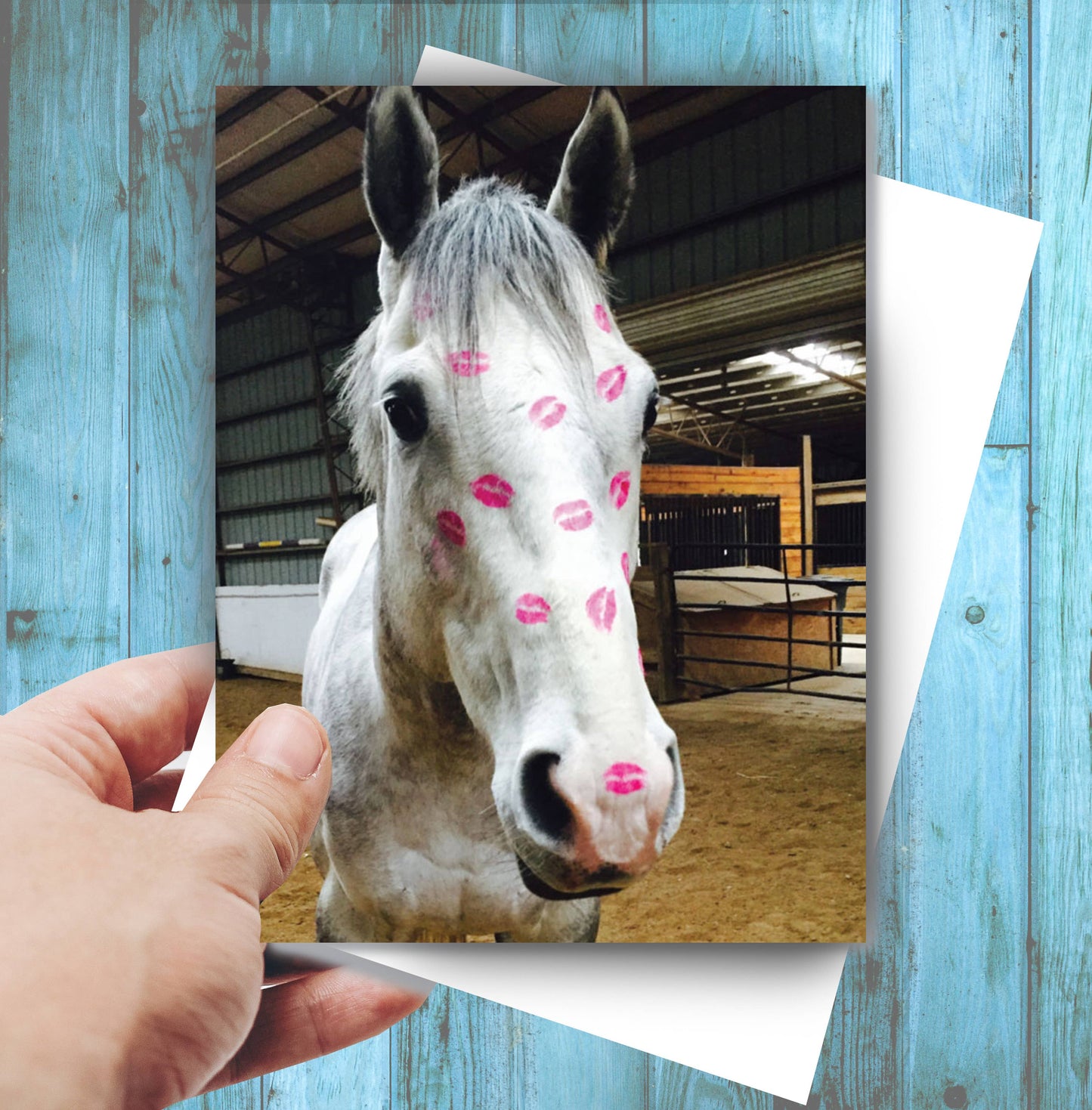 Horse Greeting Birthday Card / Kiss / Bestseller