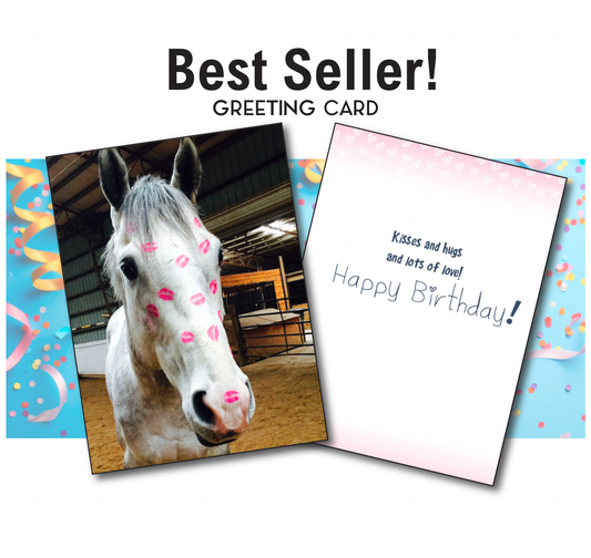 Horse Greeting Birthday Card / Kiss / Bestseller