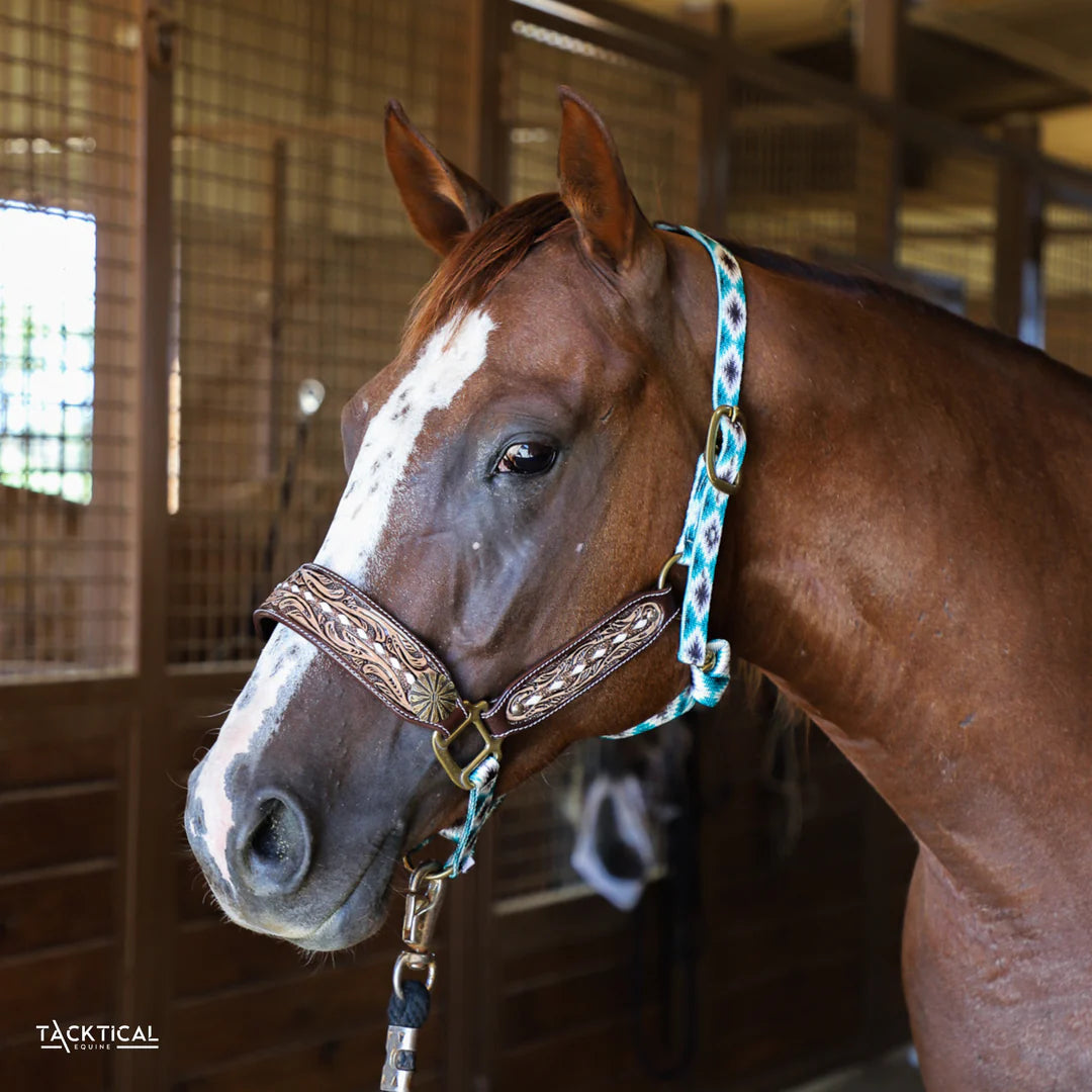 TOOLED LEATHER BRONC HALTER BY TACKTICAL