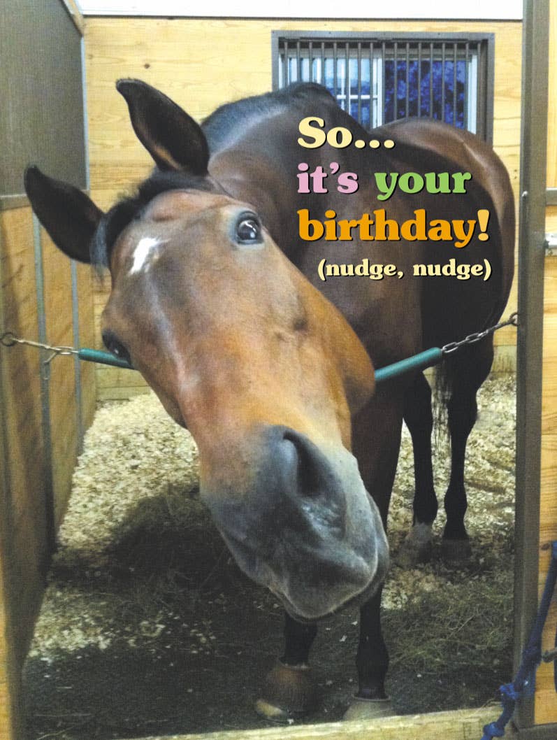 Horse Greeting Birthday Card / (Nudge, Nudge) / Fun