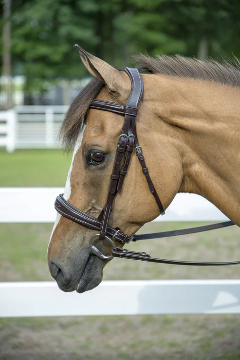 Mono-Crown Padded Wide Noseband Bridle Australian Nut - Horse