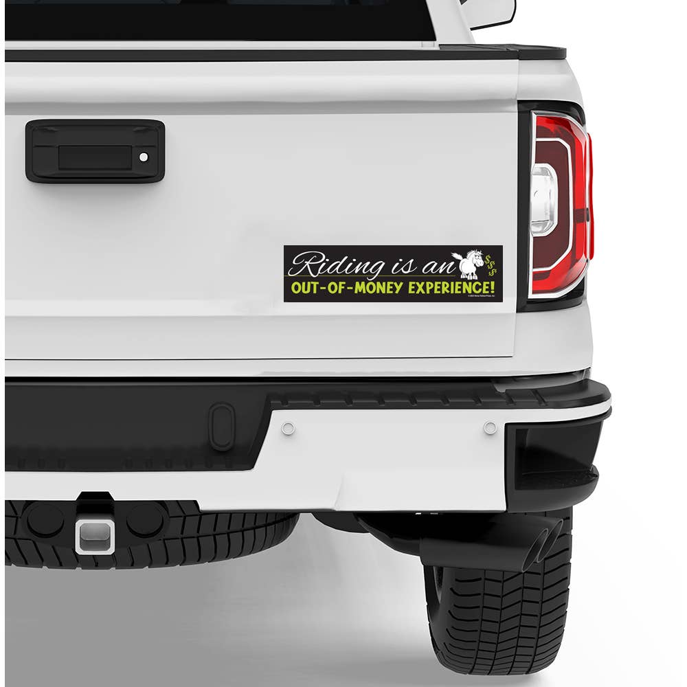 Horse Bumper Sticker / Riding is an Out-of-Money... / Funny
