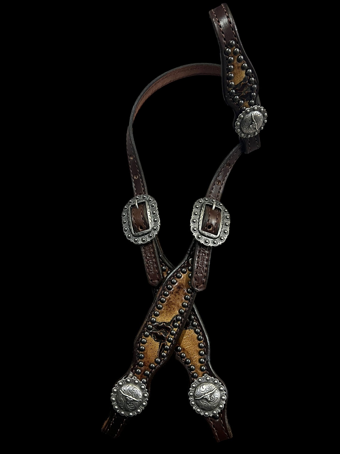 Sepia Longhorns on dark harness leather