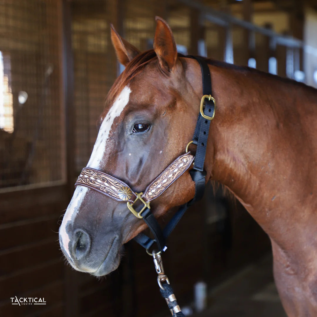 TOOLED LEATHER BRONC HALTER BY TACKTICAL