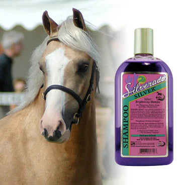 Horse Brightening & Whitening Shampoo for Coat, Mane & Tail