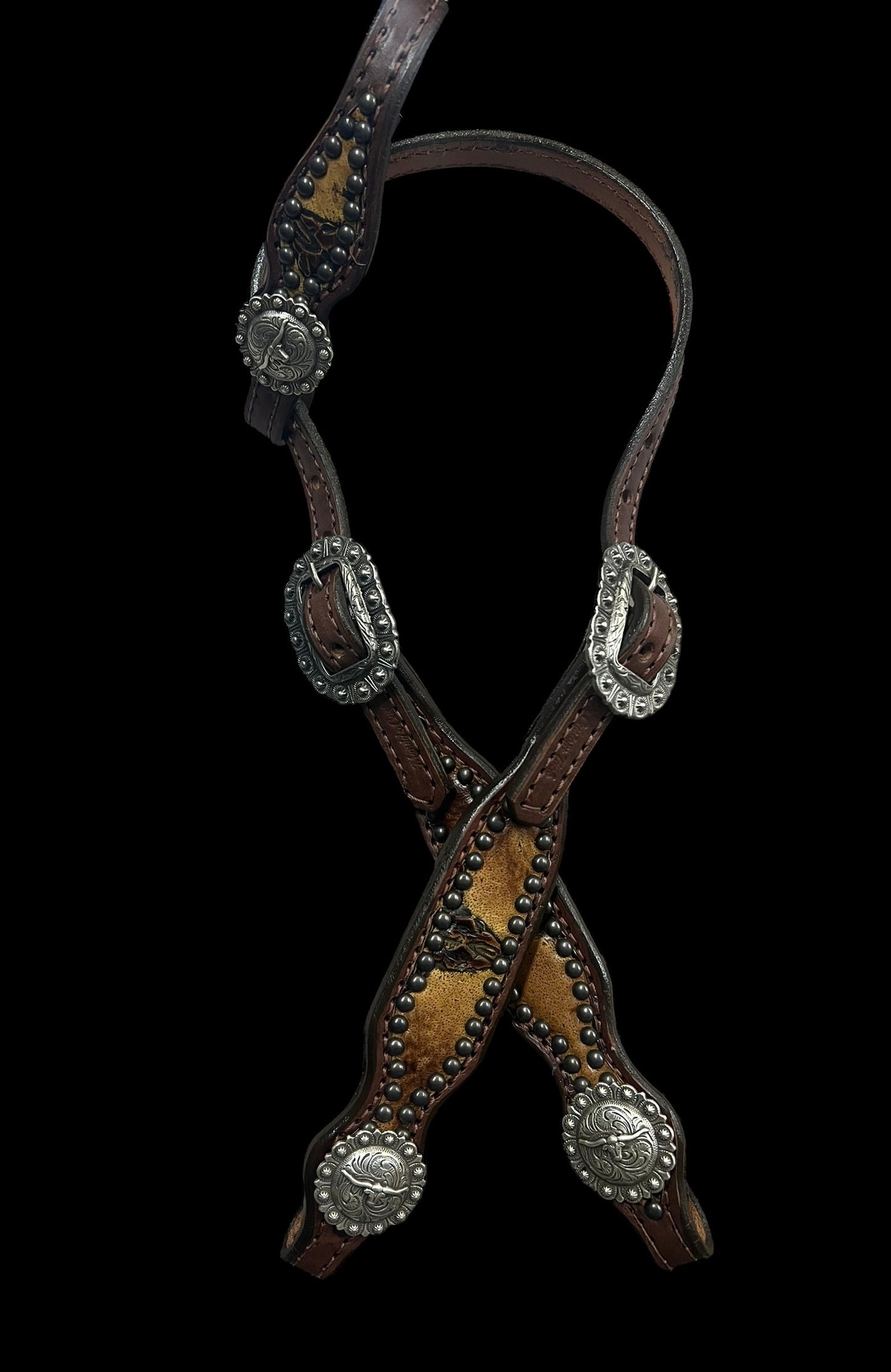 Sepia Longhorns on walnut leather