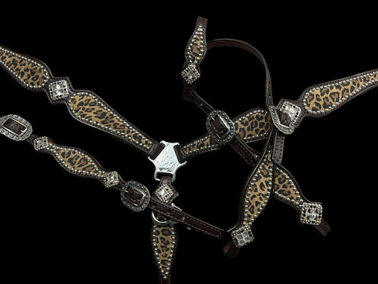 Leopard on dark leather