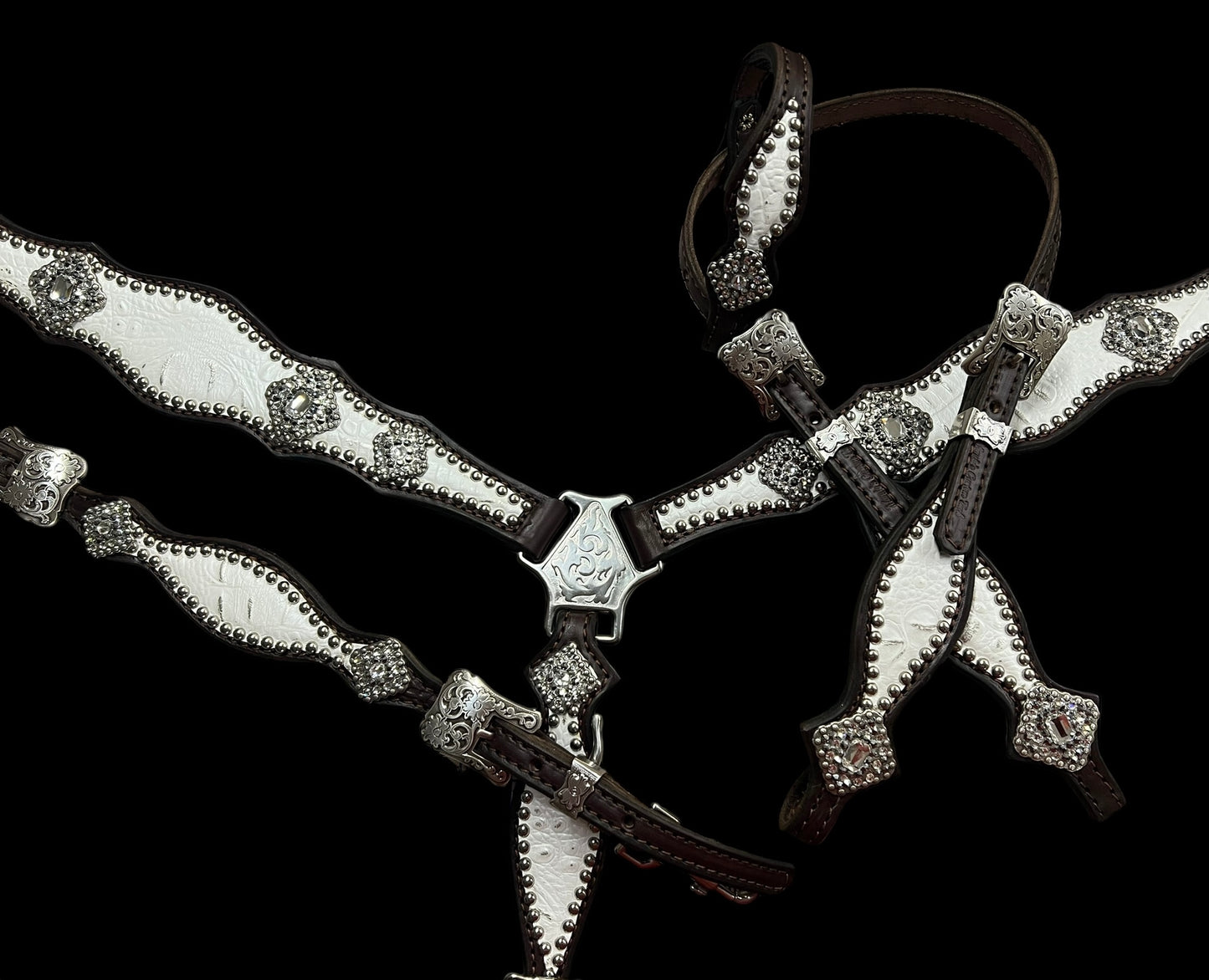 White with silver tips gator on dark leather