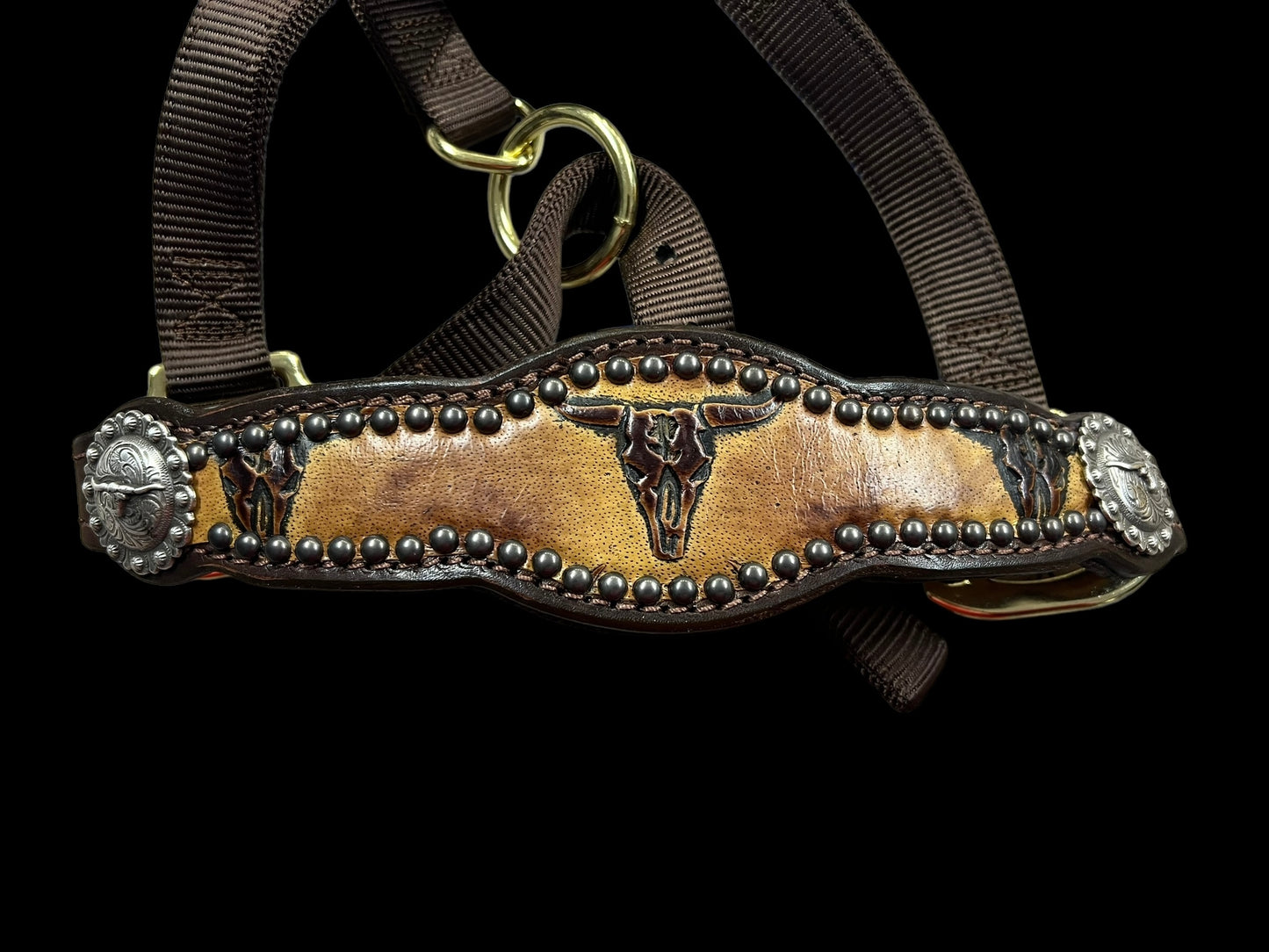 Sepia Longhorns on dark harness leather