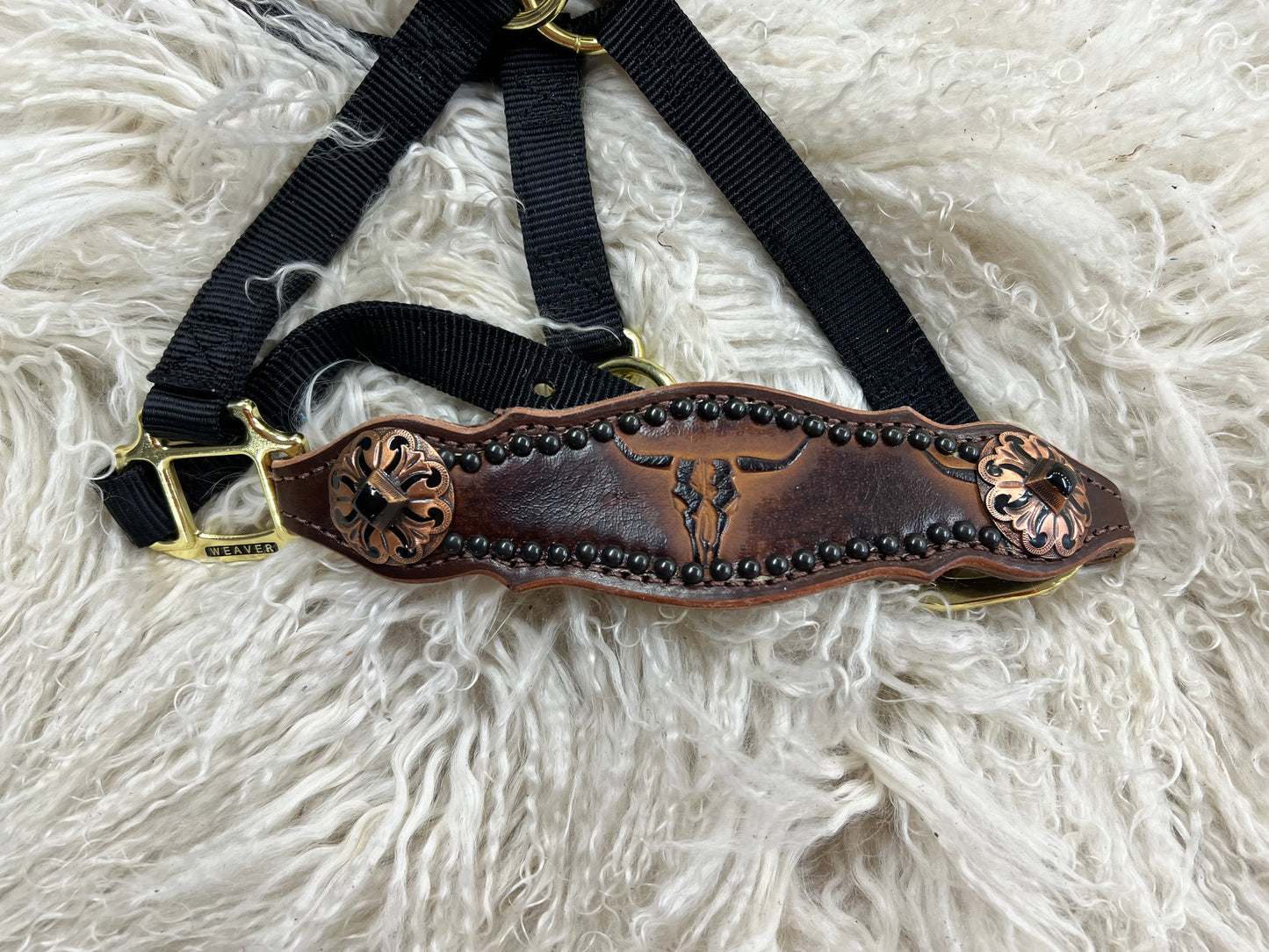 Brown longhorns on chocolate harness leather