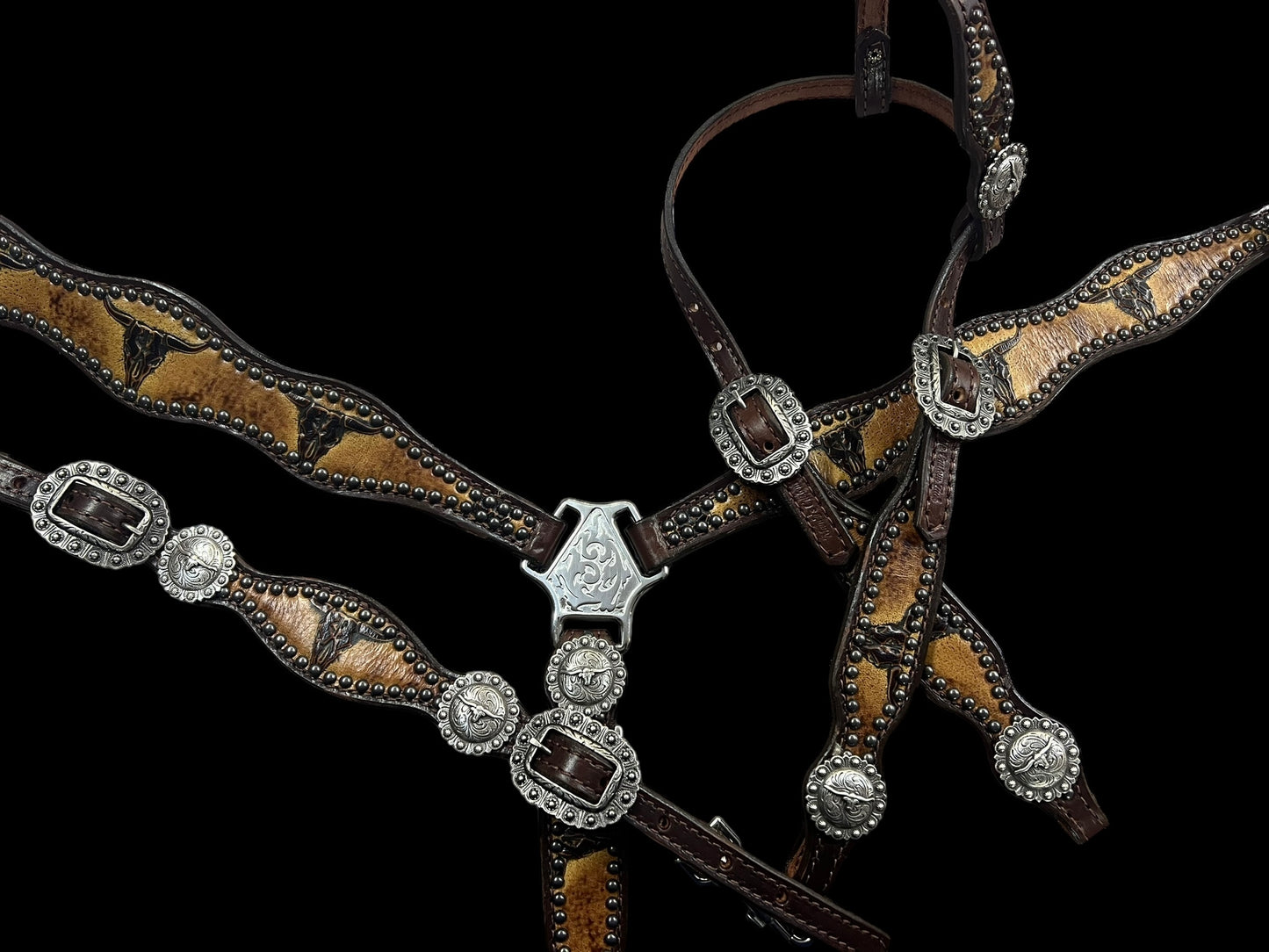 Sepia Longhorns on dark harness leather