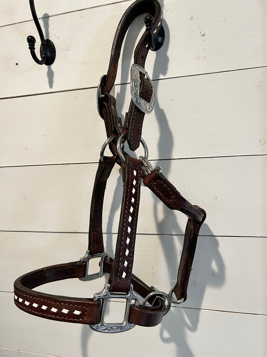 All leather halter with buckstitch