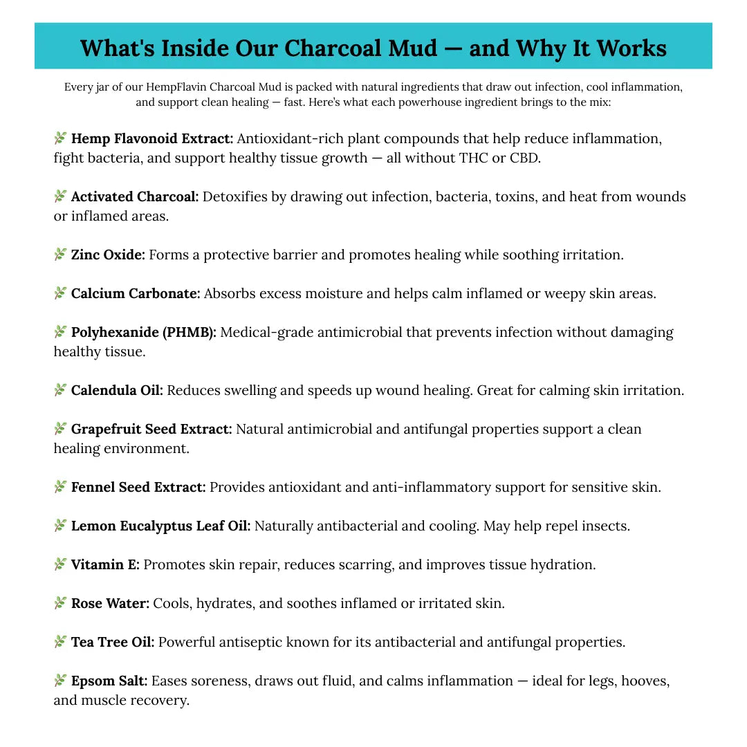 Charcoal Mud for People Horses & Dogs – HempFlavin Wound Care Poultice