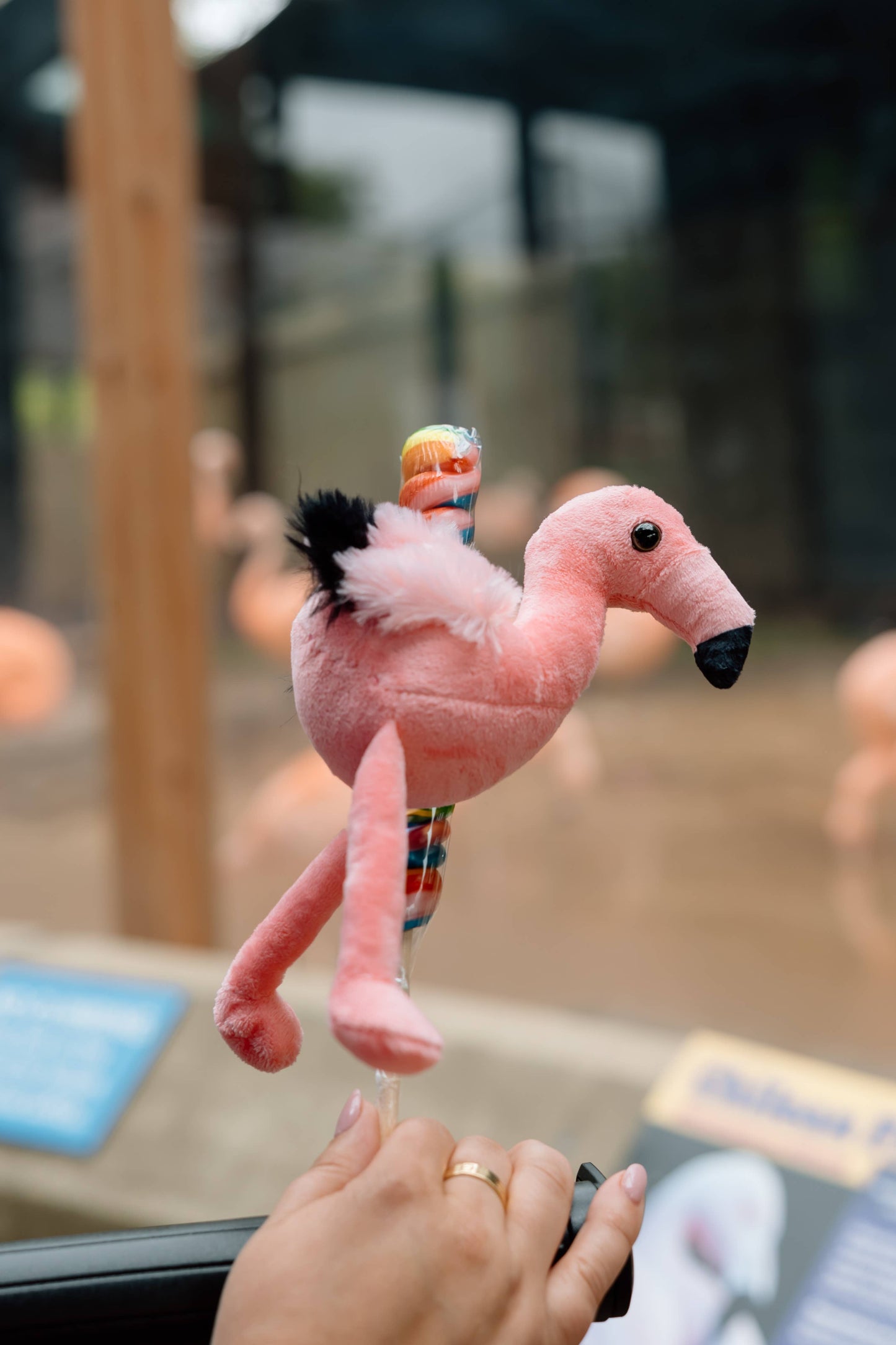 6" Lollyplush Red Fox w/14" Rainbow Lollipop