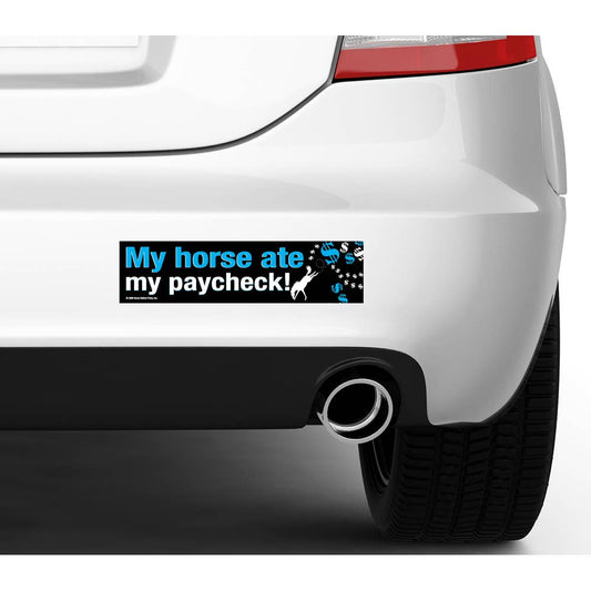 Horse Bumper Sticker / My Horse Ate My Paycheck! / Funny
