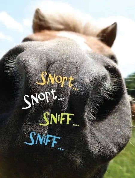 Horse Greeting Birthday Card / Sniff, Snort, Snort / Funny