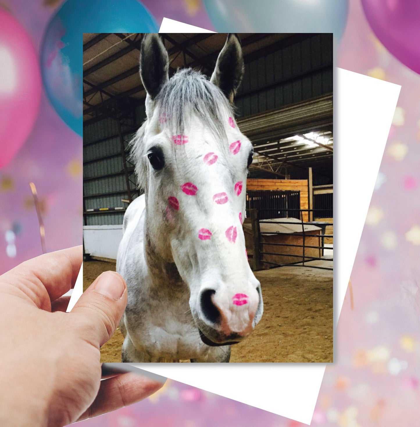 Horse Greeting Birthday Card / Kiss / Bestseller