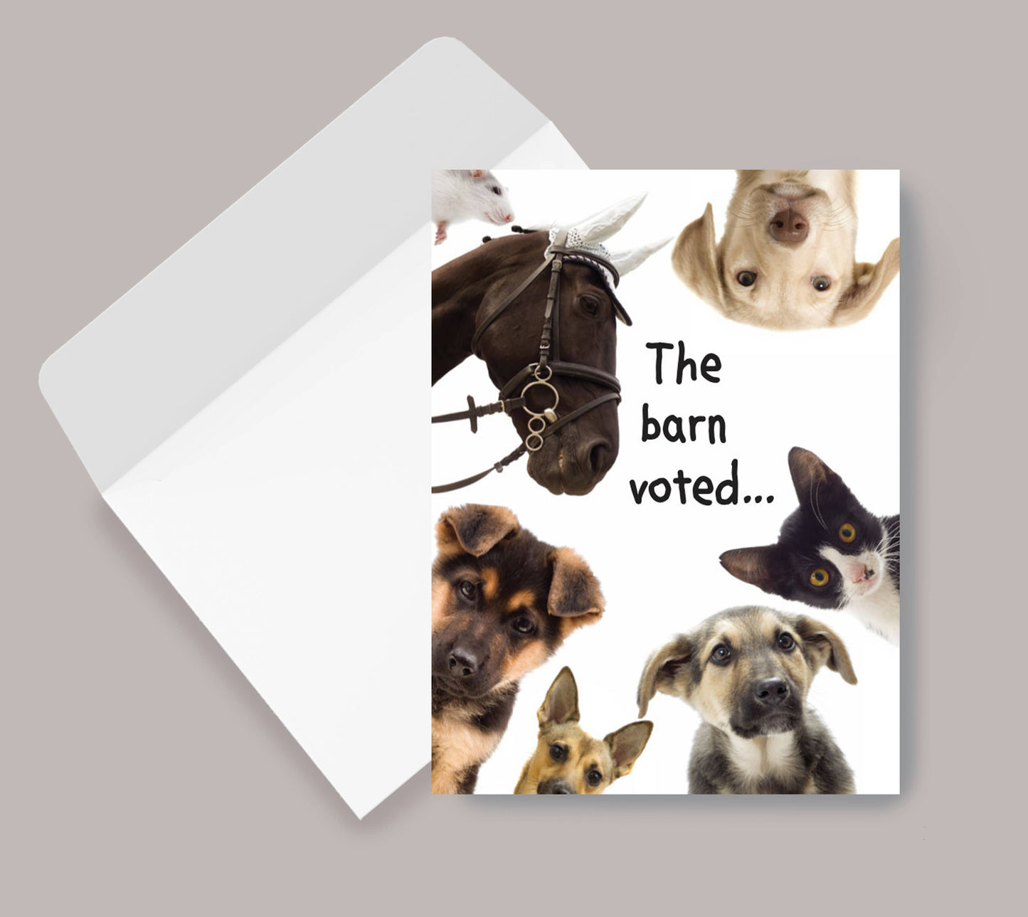 Horse Greeting Birthday Card / The Barn Voted / Funny