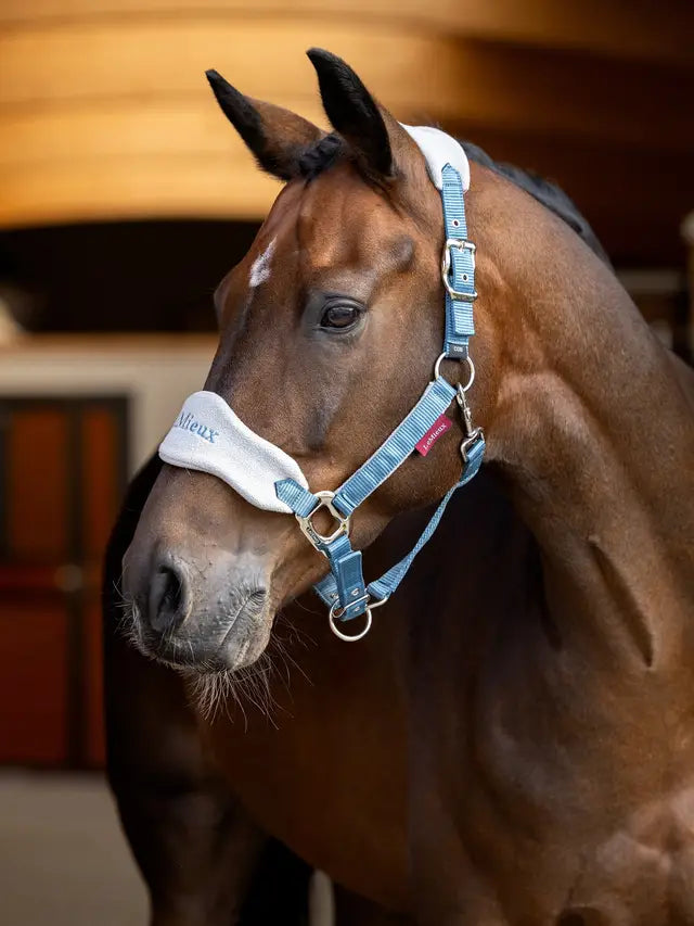 LeMieux Vogue Halter & Leadrope