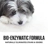 The Only Pet Stain & Odor Remover You Need
