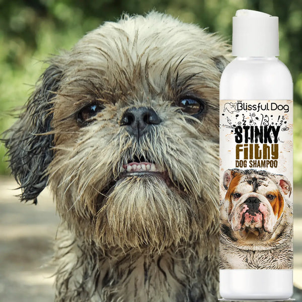 Stinky Filthy Dog Shampoo for Your Filthy Animal of a Dog 16 oz.