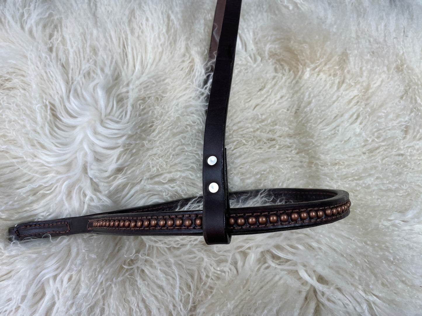 Tie down noseband