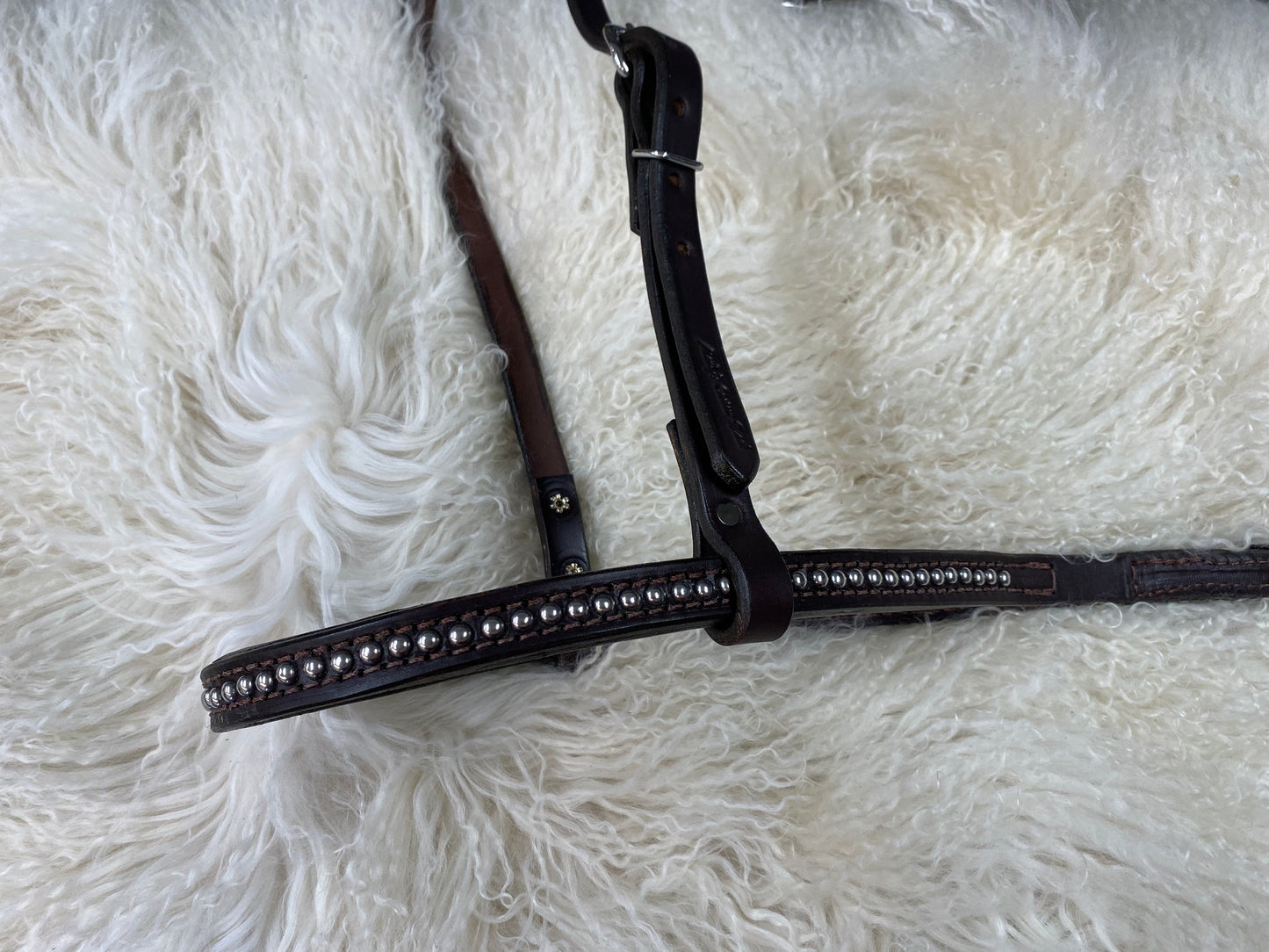 Tie down noseband