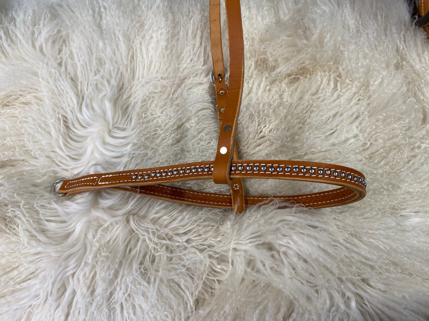 Tie down noseband