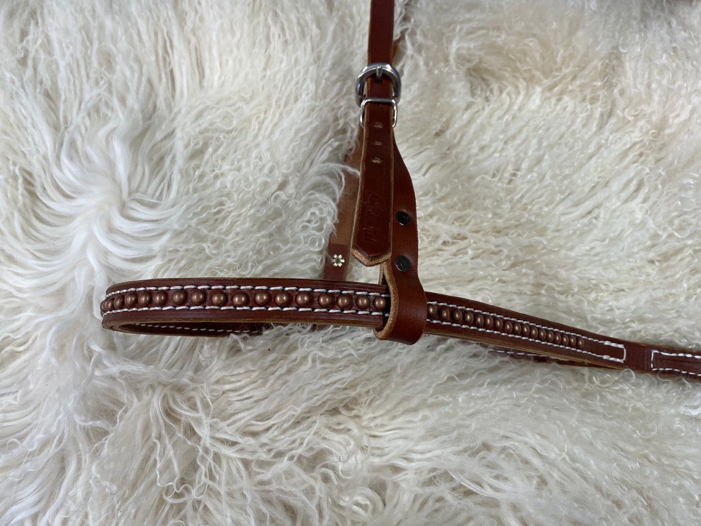 Tie down noseband