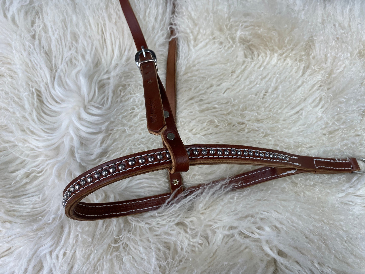 Tie down noseband