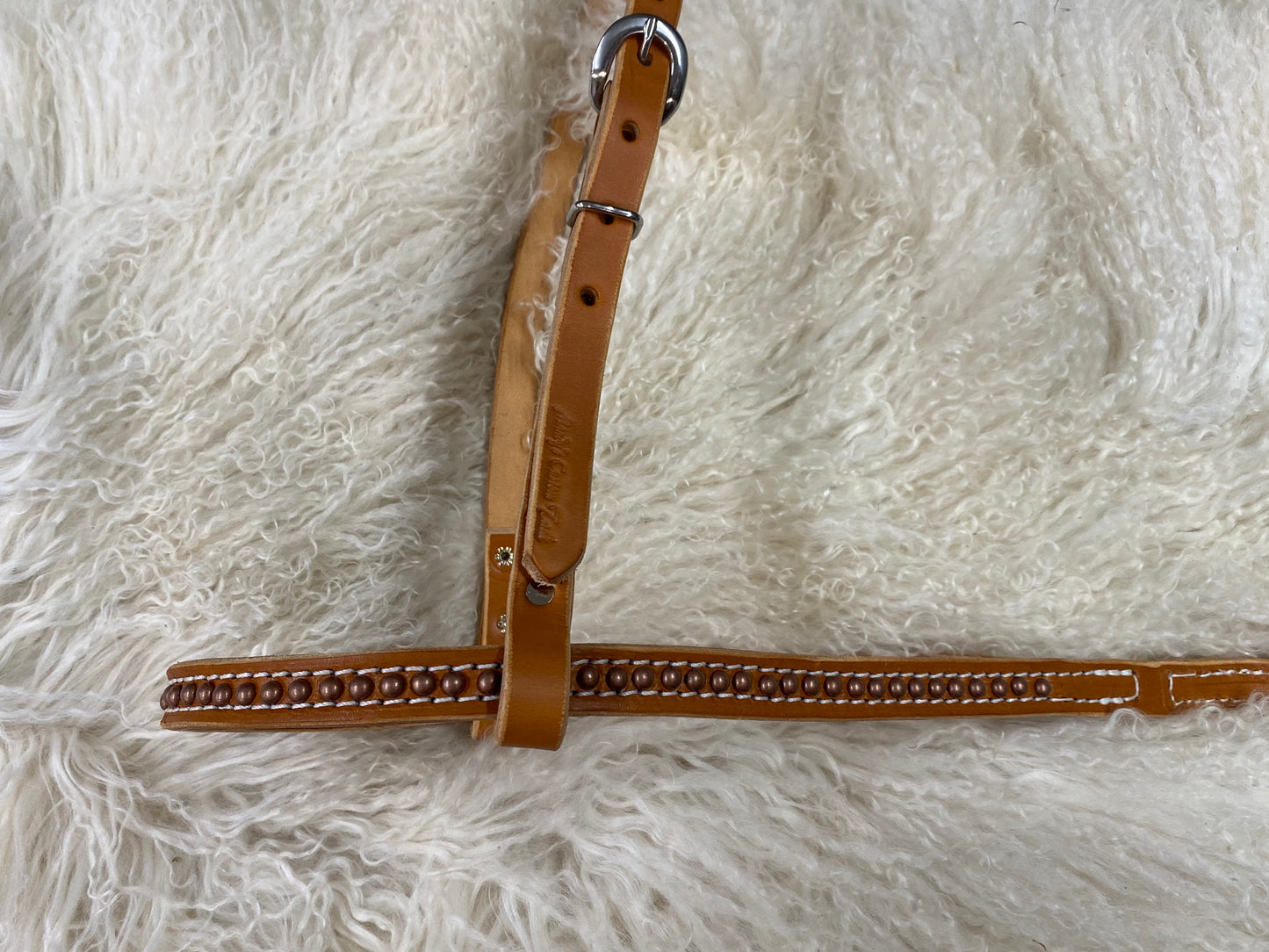 Tie down noseband